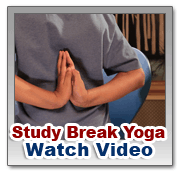 Study Break Yoga Video