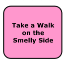 Take a Walk on the Smelly Side