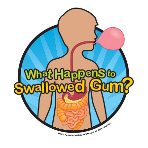 swallowed swallow chewing digestive digest hopkinsallchildrens kidshealth tract