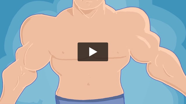 El sistema muscular