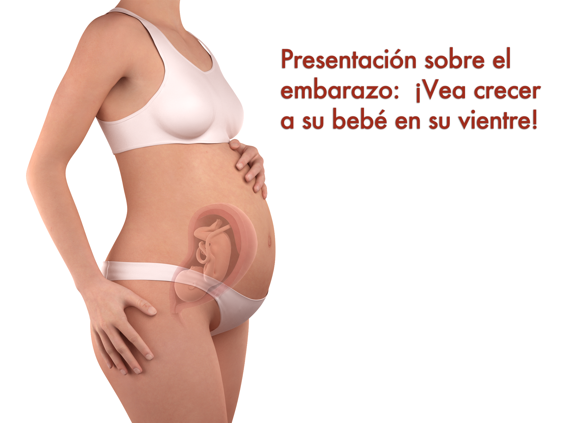 ¿Sabe qué cambios esperar durante el embarazo? ¡Vea esta presentación de diapositivas para averiguarlo!