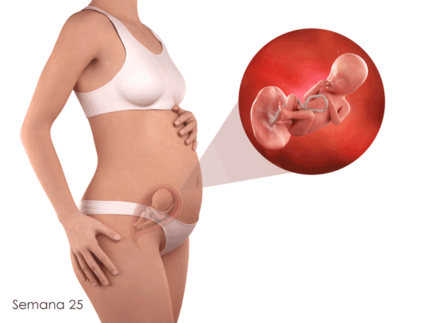Muchas mujeres embarazadas tienen acidez (reflujo ácido). Para aliviar estas molestias, haga comidas menos abundantes y evite los alimentos picantes, ácidos (como la salsa de tomate), o grasos.