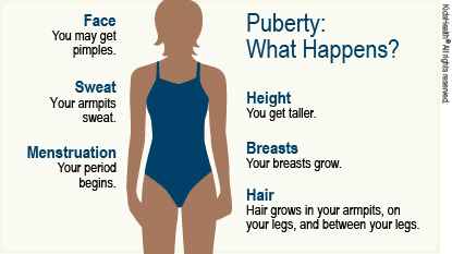 Puberty: What Happens? Height - You get taller. Breasts - Your breasts grow. Hair - Hair grows in your armpits, on your legs, and between your legs. Face - You may get pimples. Sweat - Your armpits sweat. Menstruation - Your period begins.