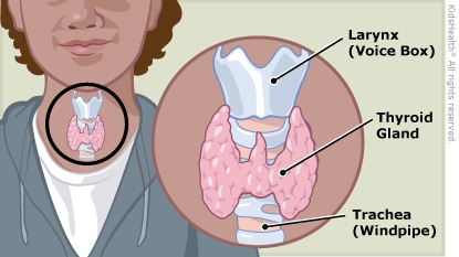 What happens when your thyroid doesn't work correctly?