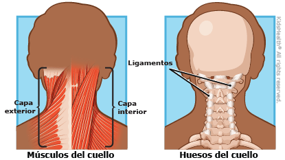 How Can I Help My Neck Pain?, Neck Pain and Stiff Neck