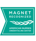 Magnet Recongnition Magnet Recongnition